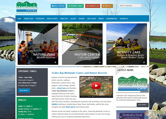 Kerry website design